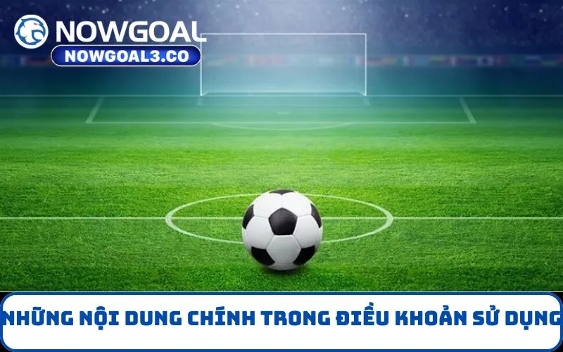 Những Nội Dung Chính Trong Điều Khoản Sử Dụng