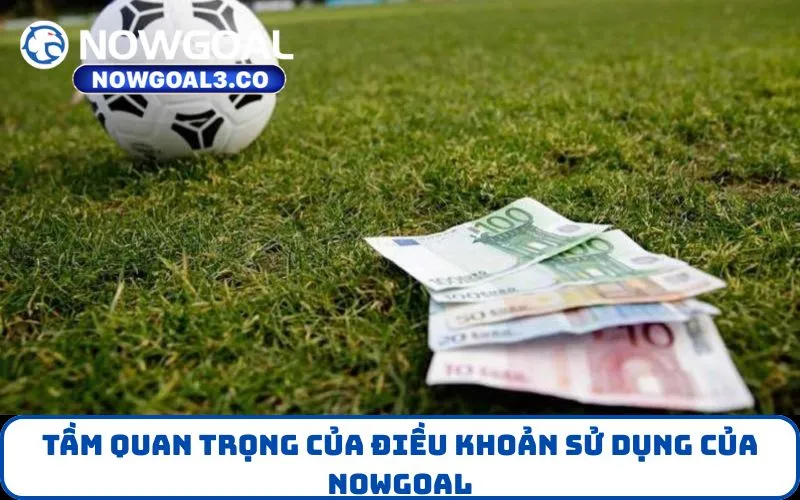 Tầm quan trọng của Điều Khoản Sử Dụng của NOWGOAL