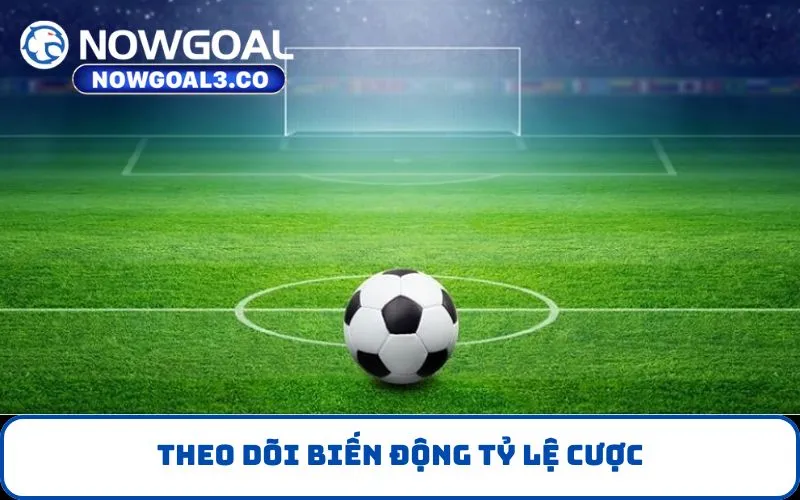Theo dõi biến động tỷ lệ cược