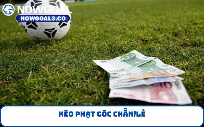 Kèo phạt góc chẵn/lẻ