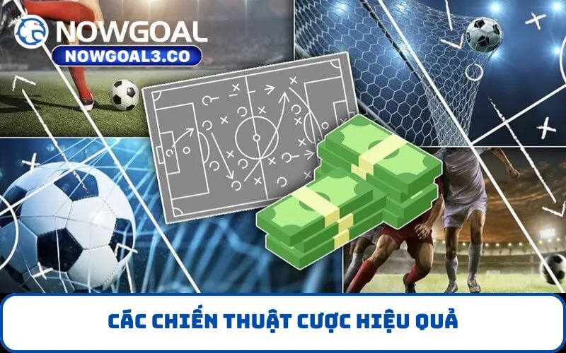 Các chiến thuật cược hiệu quả