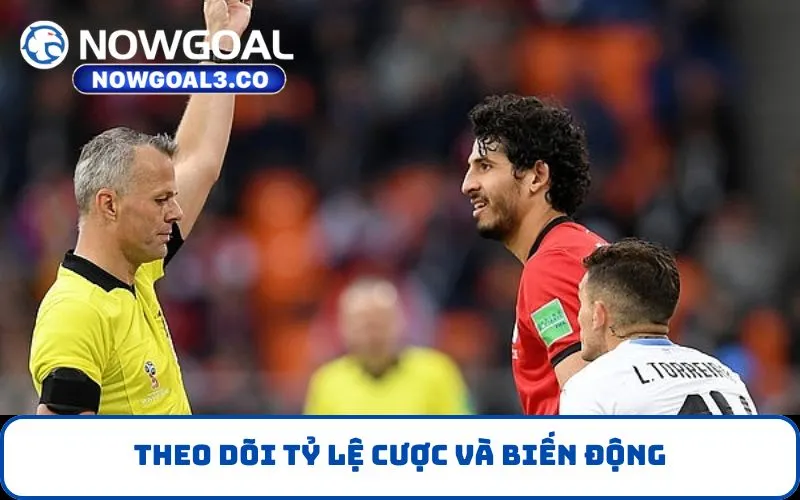 Theo dõi tỷ lệ cược và biến động