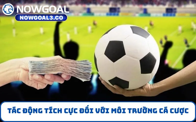 Tác động tích cực đối với môi trường cá cược