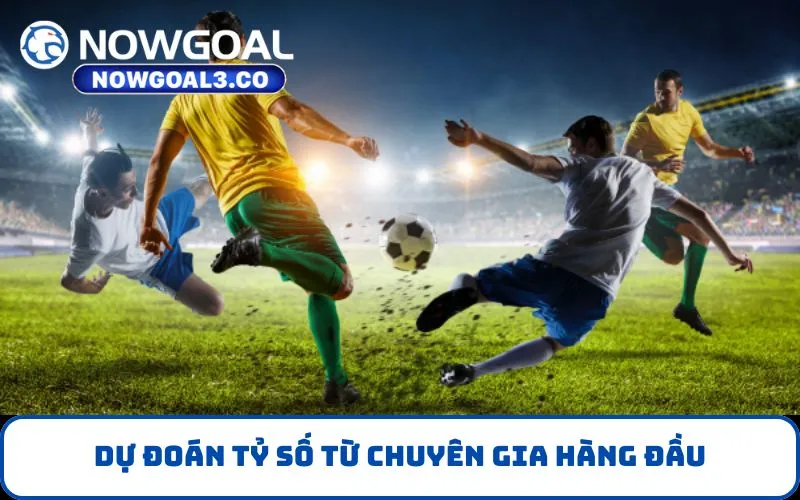 Dự Đoán Tỷ Số từ chuyên gia hàng đầu