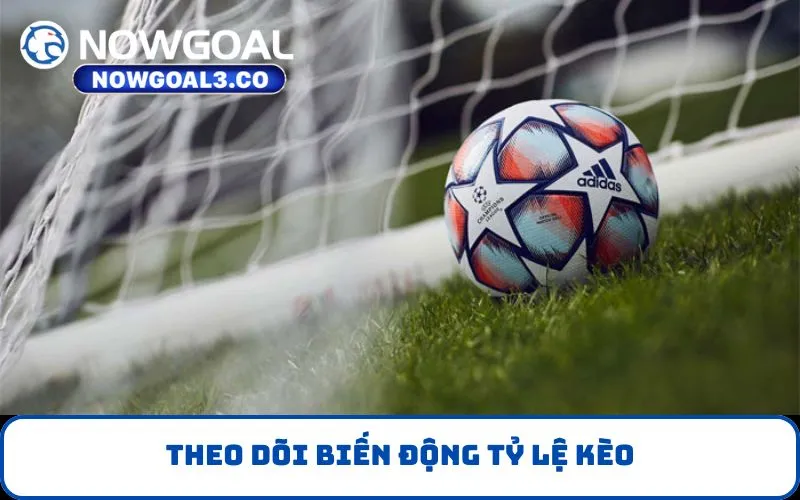 Theo dõi biến động tỷ lệ kèo