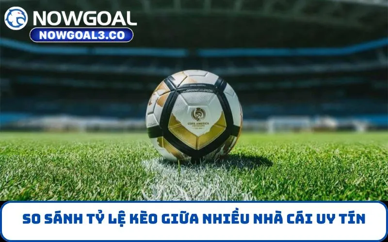 So sánh tỷ lệ kèo giữa nhiều nhà cái uy tín