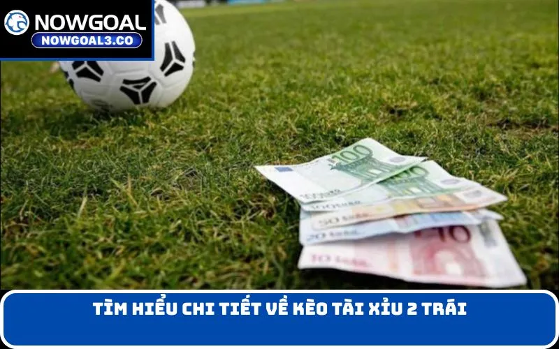 Tìm hiểu chi tiết về kèo Tài xỉu 2 trái