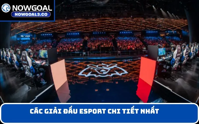 Các giải đấu Esport chi tiết nhất