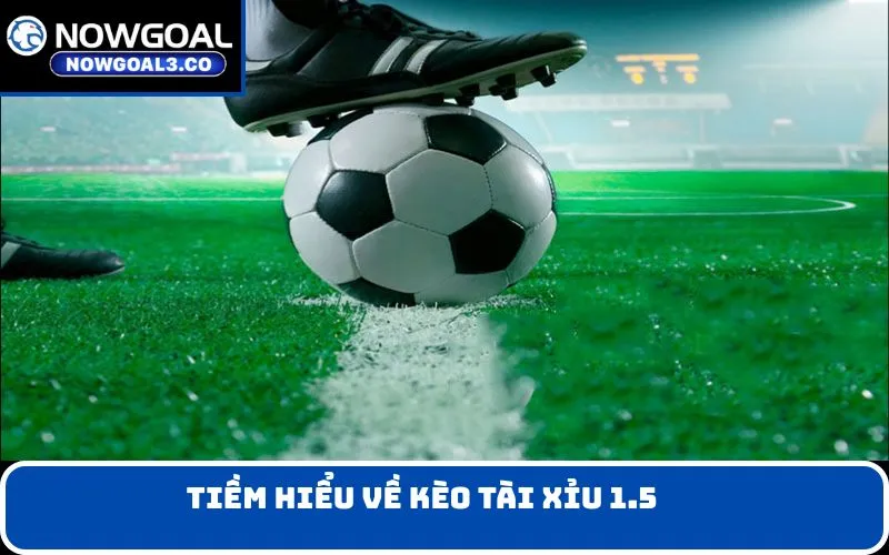 Tìm hiểu về kèo Tài xỉu 1.5