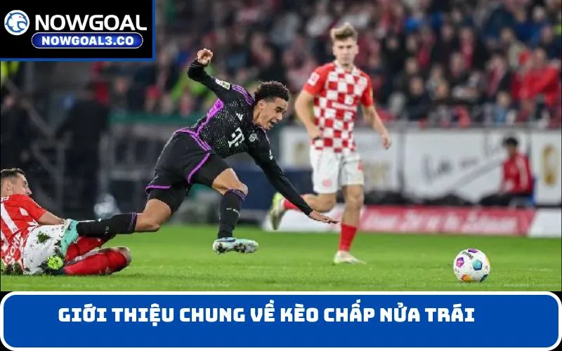 Giới thiệu chung về kèo chấp nửa trái