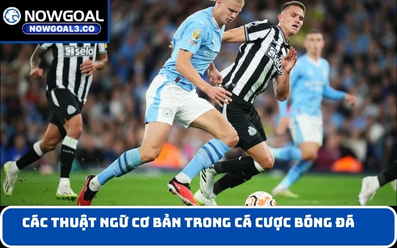 Các Thuật Ngữ Cơ Bản Trong Cá Cược Bóng Đá