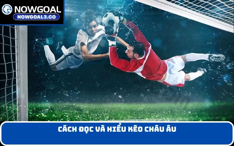 Cách Đọc Và Hiểu Kèo Châu Âu