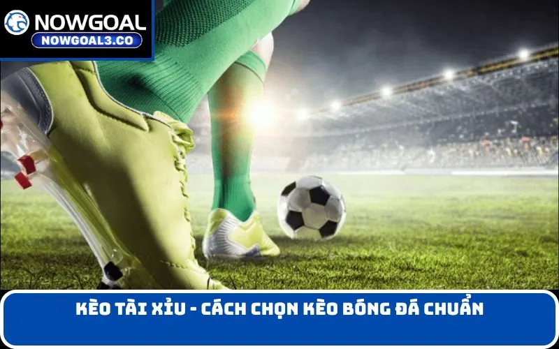 Kèo Tài Xỉu - Cách chọn kèo bóng đá chuẩn