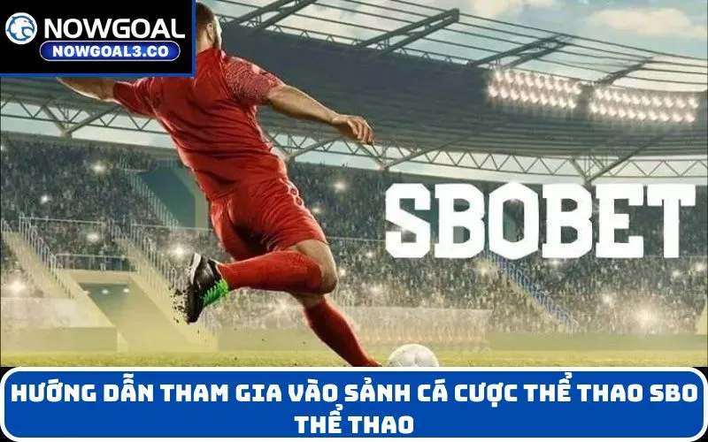 Hướng dẫn tham gia vào sảnh cá cược thể thao Sbo thể thao