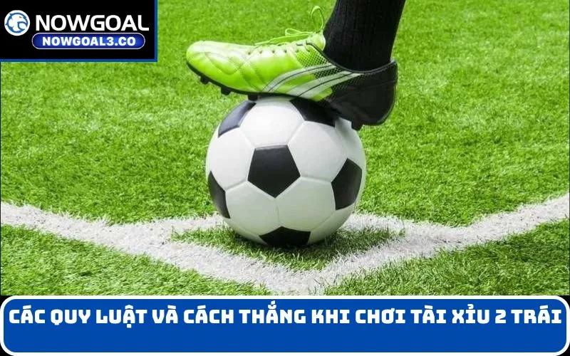 Các Quy Luật và Cách Thắng Khi Chơi Tài Xỉu 2 Trái