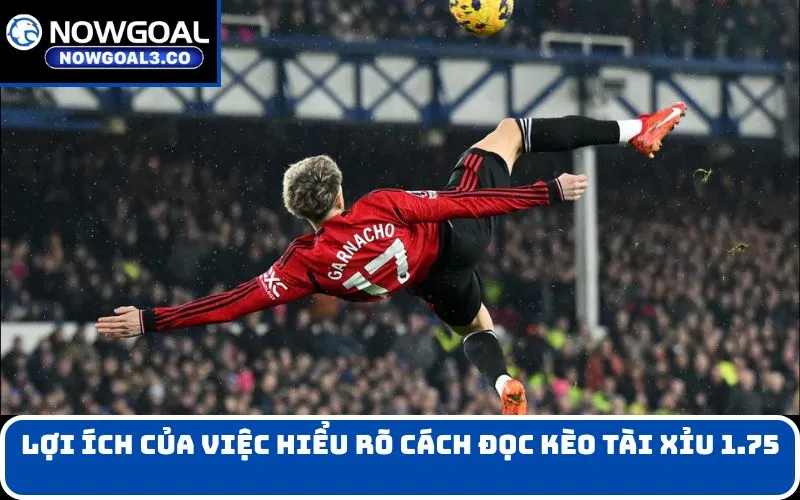 Lợi ích của việc hiểu rõ cách đọc kèo tài xỉu 1.75