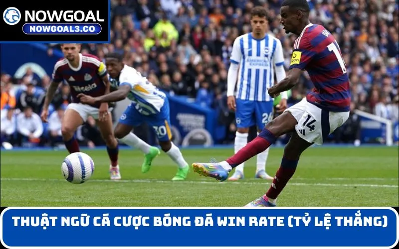 Thuật ngữ cá cược bóng đá Win Rate (Tỷ lệ thắng)