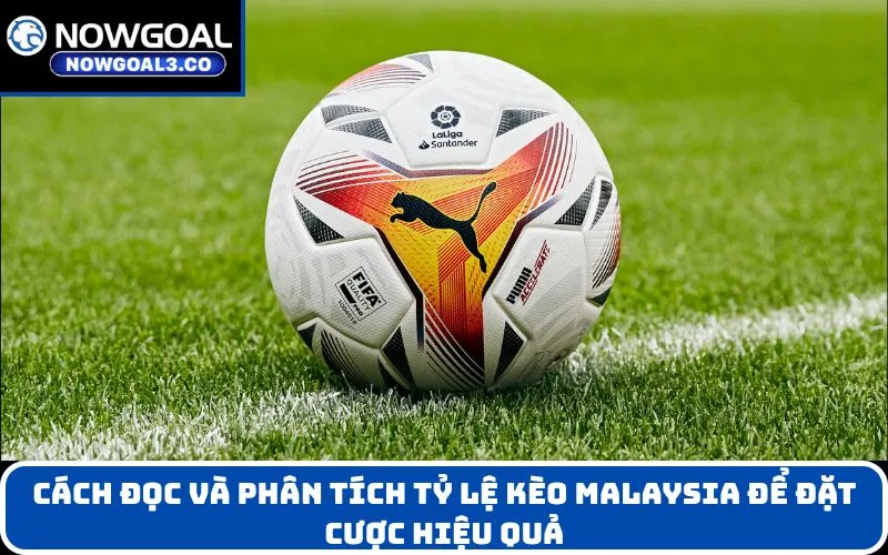 Cách đọc và phân tích tỷ lệ kèo Malaysia để đặt cược hiệu quả