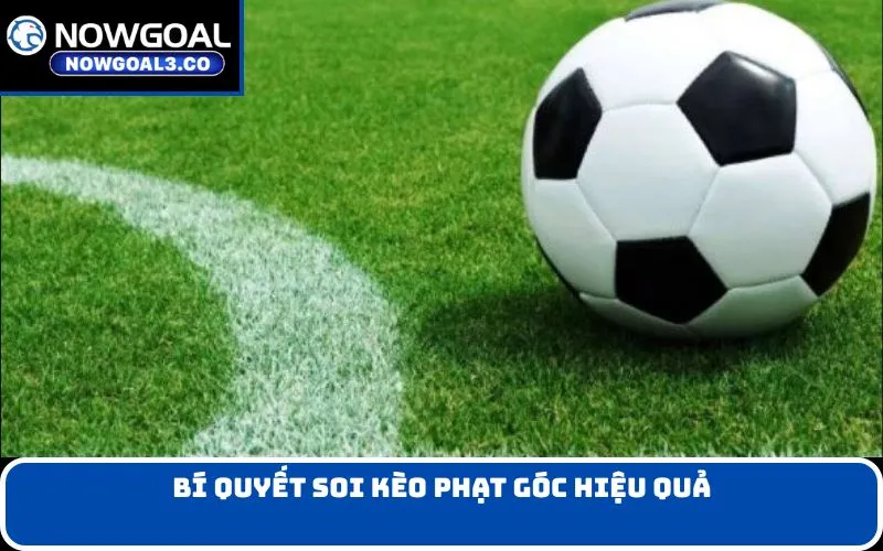 Bí Quyết Soi Kèo Phạt Góc Hiệu Quả