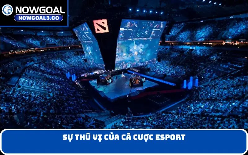 Sự thú vị của cá cược Esport