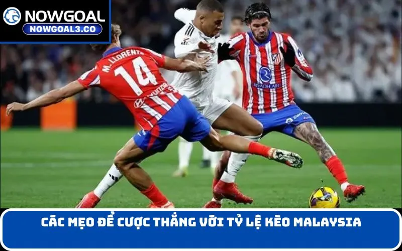 Các mẹo để cược thắng với tỷ lệ kèo Malaysia