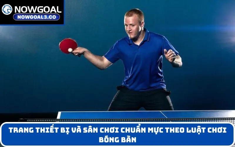 Trang Thiết Bị Và Sân Chơi Chuẩn Mực Theo luật chơi bóng bàn