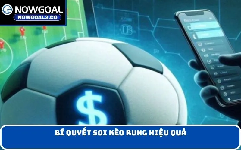 Bí quyết soi kèo rung hiệu quả