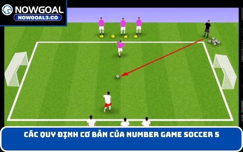 Các Quy Định Cơ Bản của Number game soccer 5