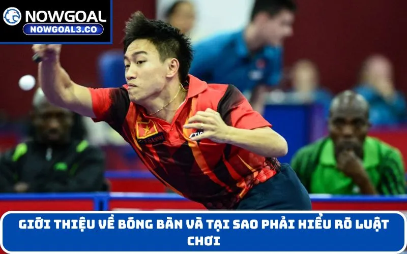 Giới Thiệu Về Bóng Bàn Và Tại Sao Phải Hiểu Rõ Luật Chơi