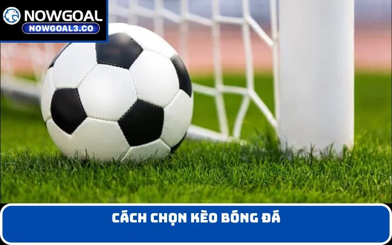 cách chọn kèo bóng đá