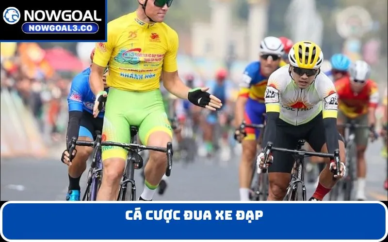 Cá cược đua xe đạp