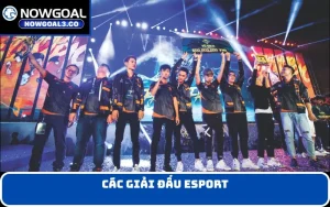 các giải đấu Esport