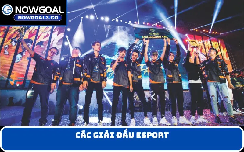 các giải đấu Esport