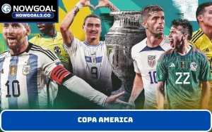 Copa America trong mắt người hâm mộ Việt Nam