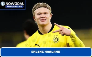 Erling Haaland